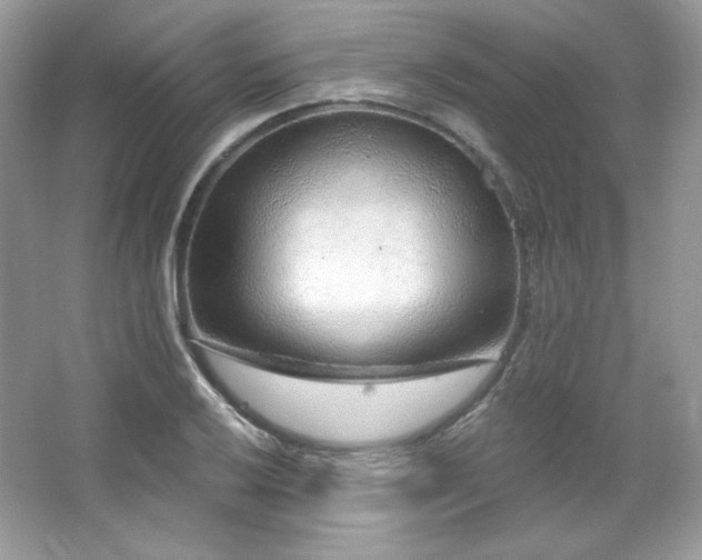 X0000065261032200602171449