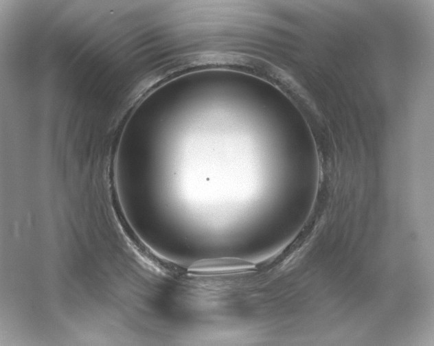 X0000065261033200602171449