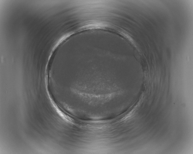 X0000065261034200602171449