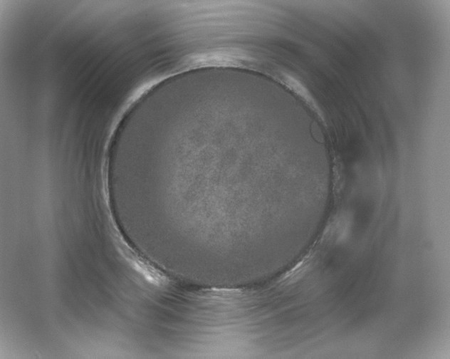 X0000065261035200602171449