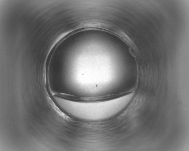 X0000065261036200602171449