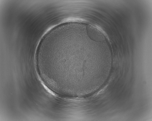 X0000065261037200602171449