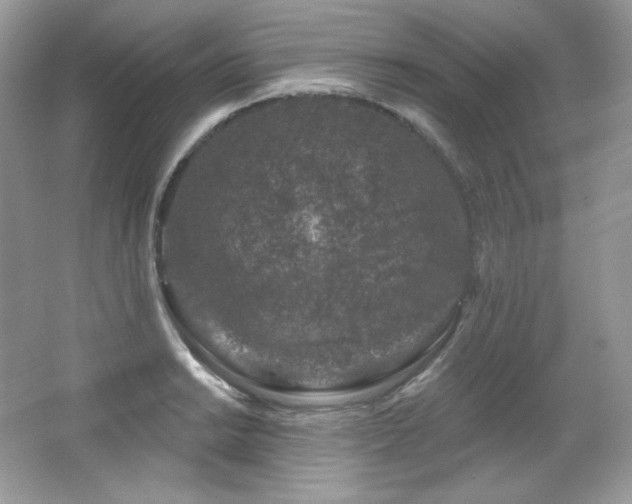 X0000065261038200602171449