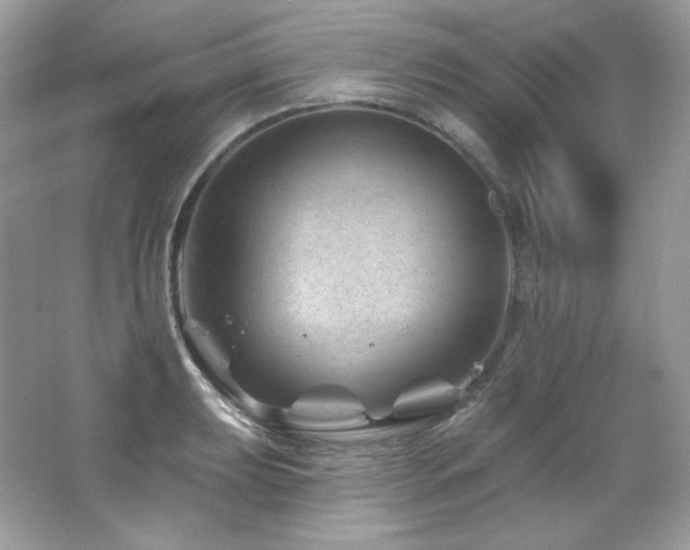 X0000065261039200602171449