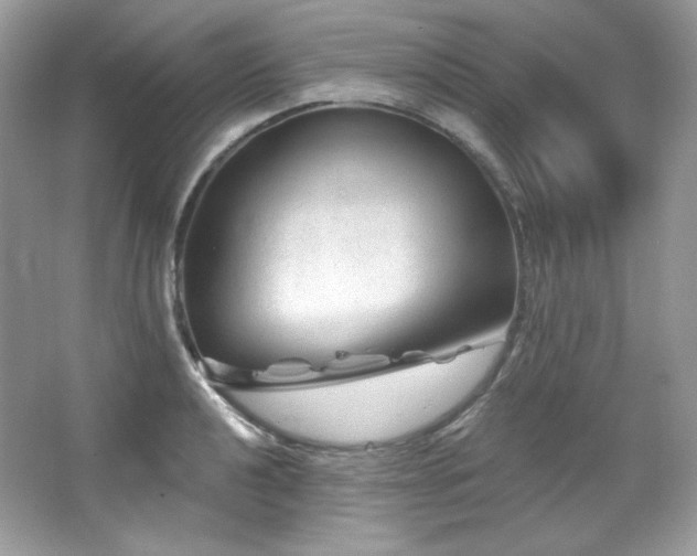 X0000065261040200602171449