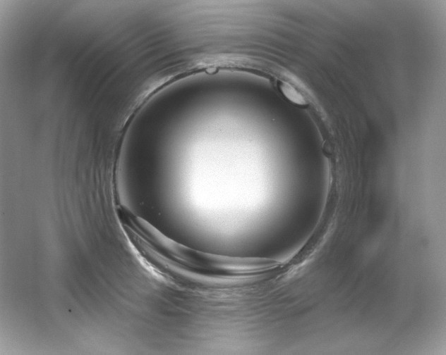 X0000065261041200602171449