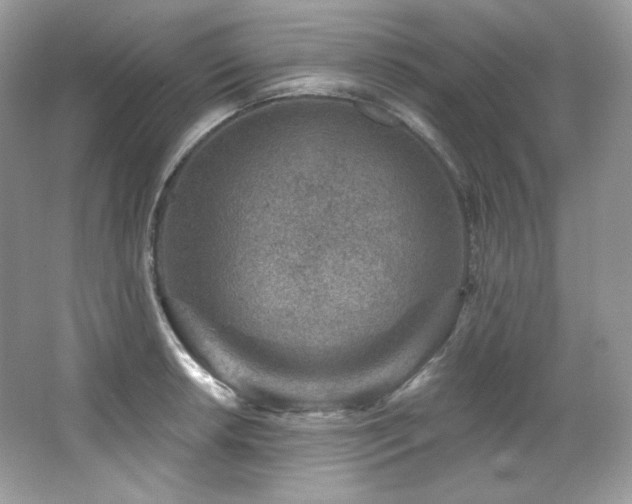 X0000065261042200602171449