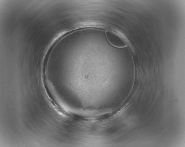 X0000065261043200602171449