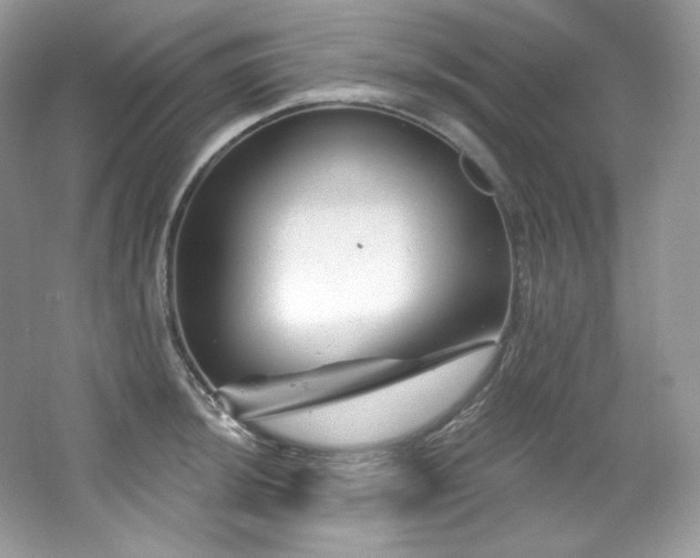 X0000065261044200602171449