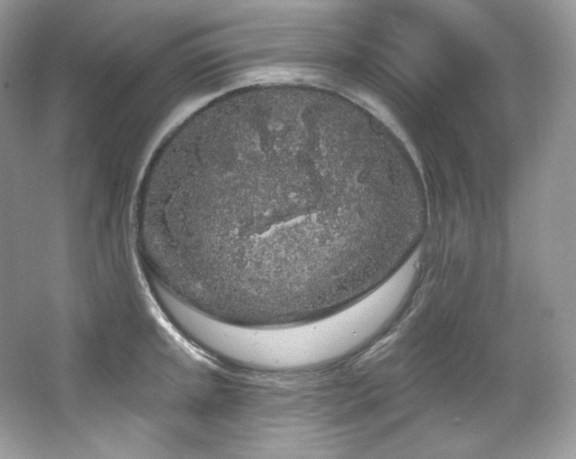 X0000065261045200602171449