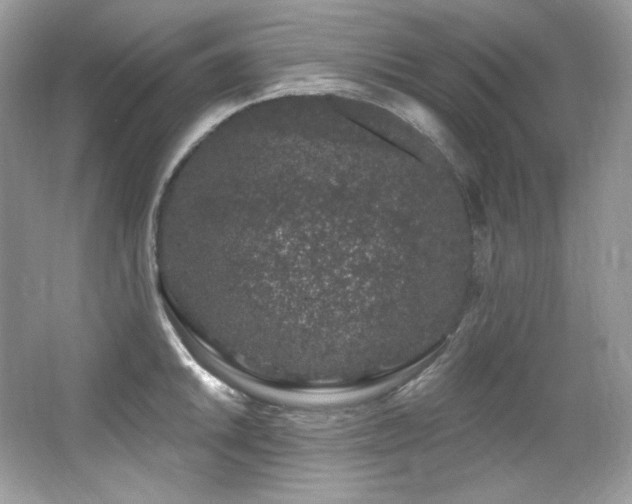 X0000065261046200602171449