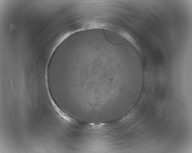 X0000065261047200602171449