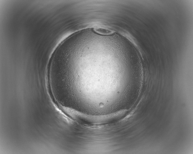 X0000065261048200602171449