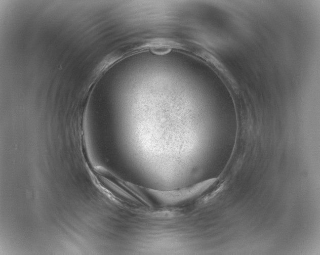 X0000065261049200602171449