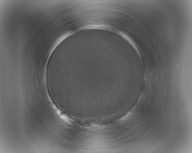 X0000065261050200602171449