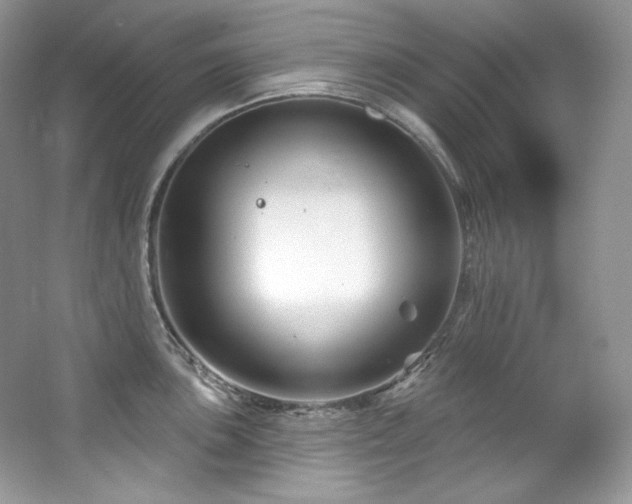 X0000065261051200602171449