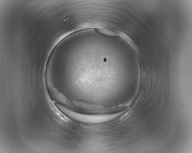 X0000065261052200602171449