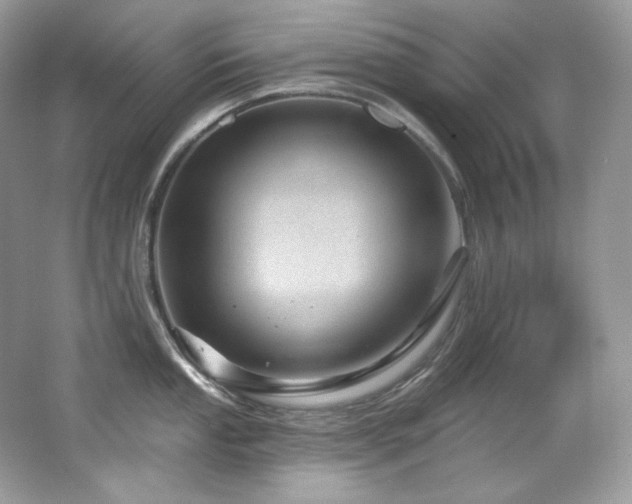 X0000065261053200602171449