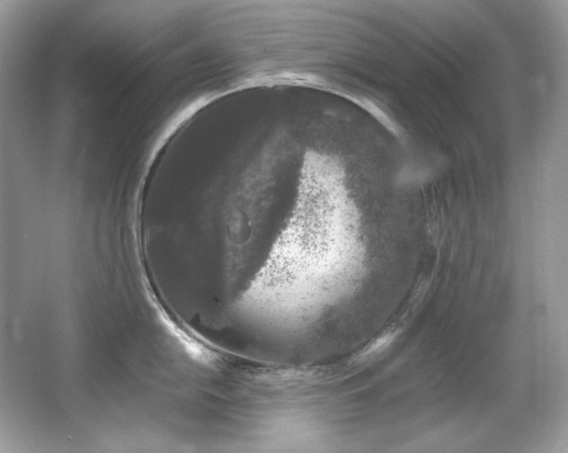 X0000065261054200602171449