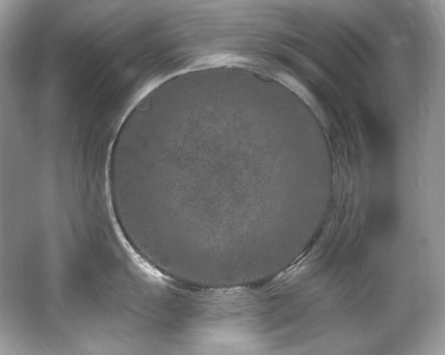 X0000065261055200602171449