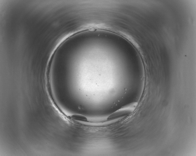 X0000065261056200602171449