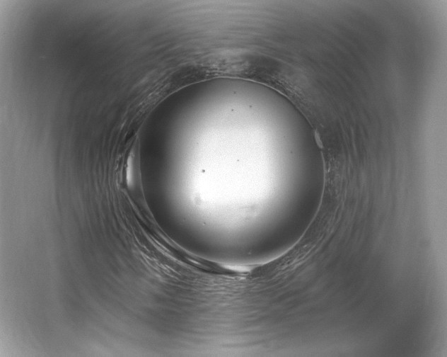 X0000065261058200602171448