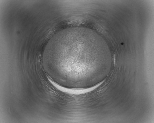 X0000065261059200602171448