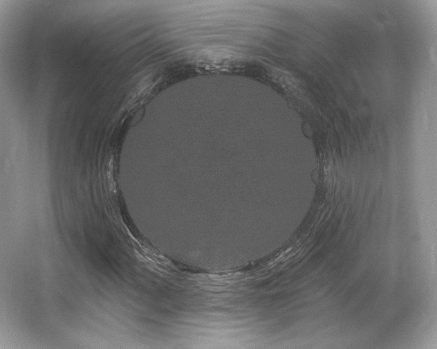 X0000065261060200602171448