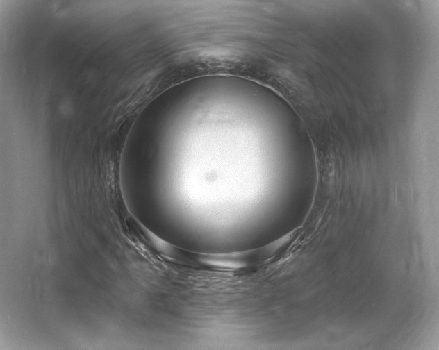 X0000065261061200602171448