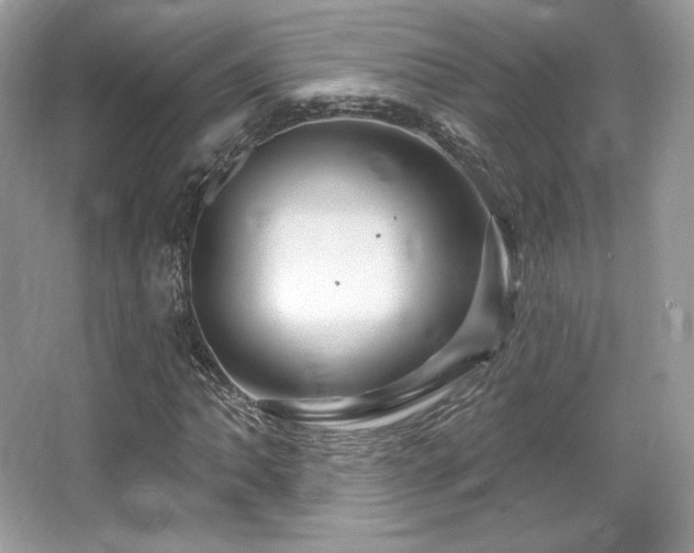 X0000065261062200602171448