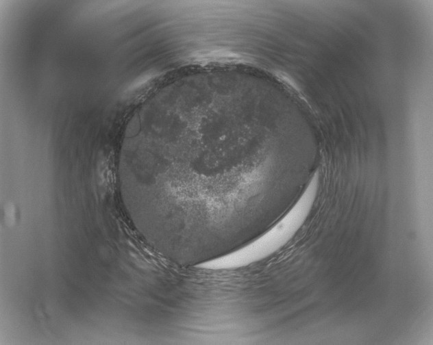 X0000065261063200602171448