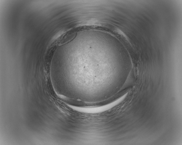 X0000065261064200602171448