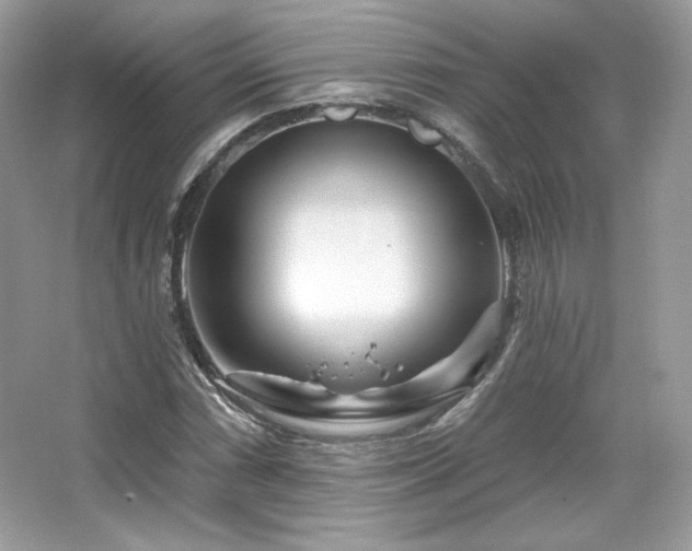 X0000065261066200602171448