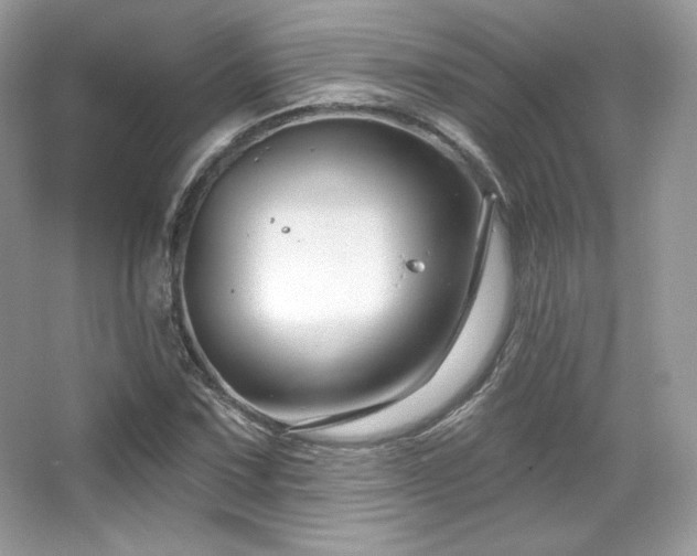 X0000065261067200602171448