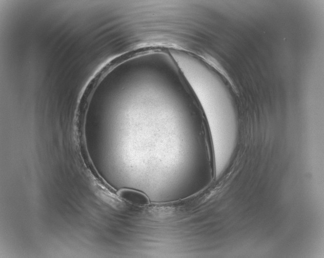 X0000065261068200602171448