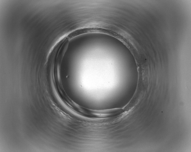 X0000065261069200602171448