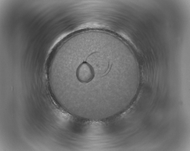 X0000065261070200602171448