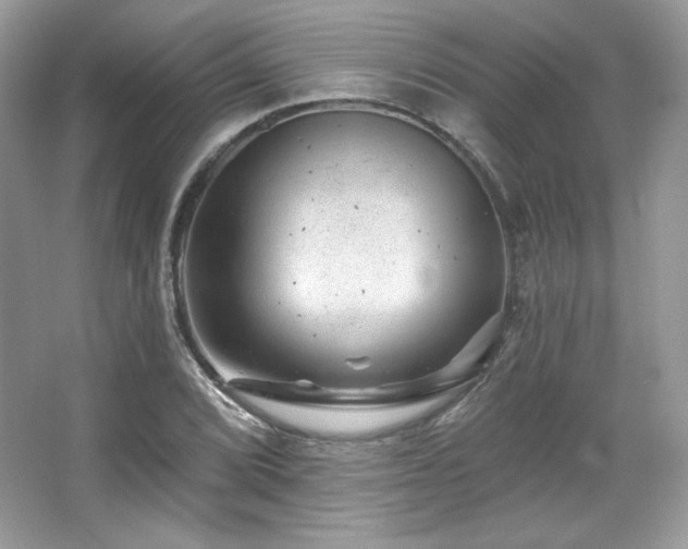 X0000065261072200602171448