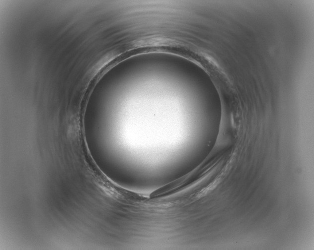 X0000065261073200602171448