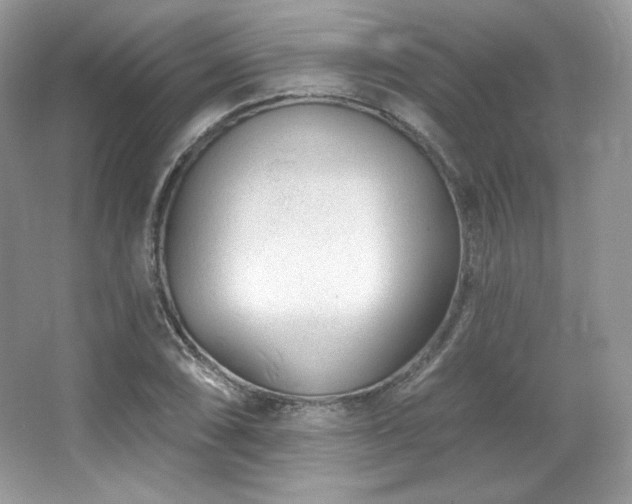 X0000065261074200602171448