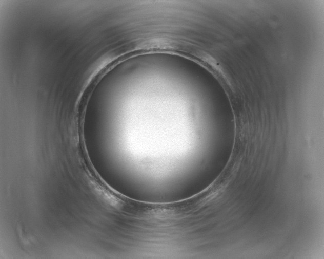 X0000065261075200602171448