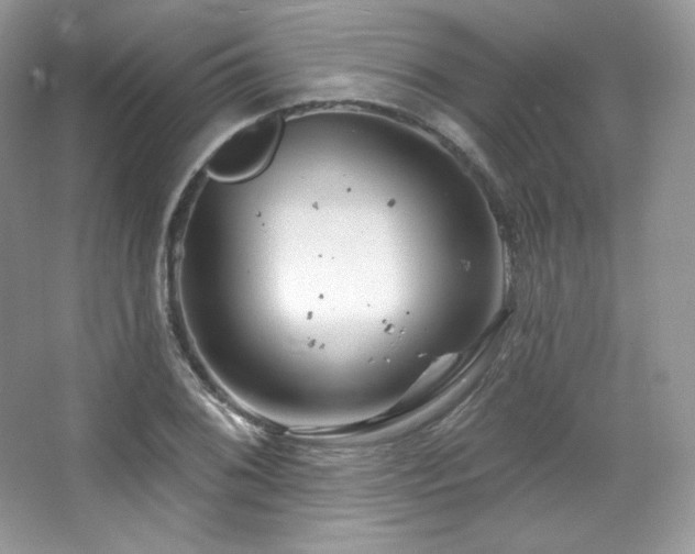 X0000065261076200602171448