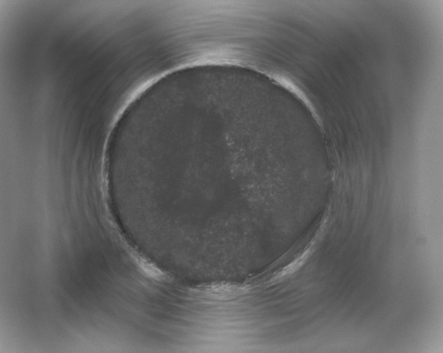 X0000065261077200602171448