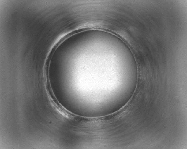 X0000065261078200602171448