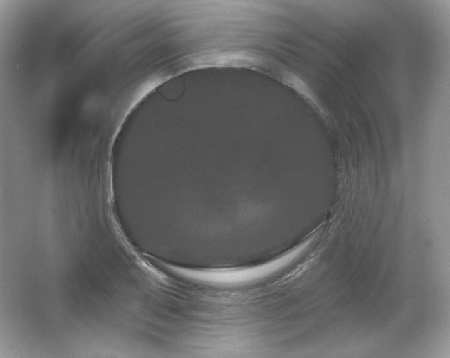 X0000065261079200602171448