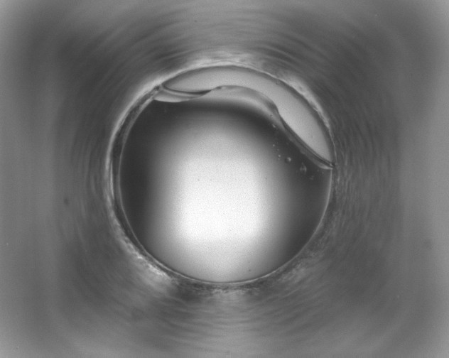 X0000065261080200602171448