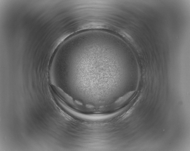 X0000065261081200602171448