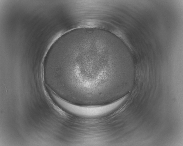 X0000065261083200602171448