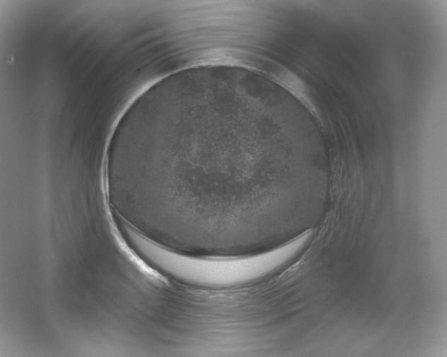 X0000065261084200602171448