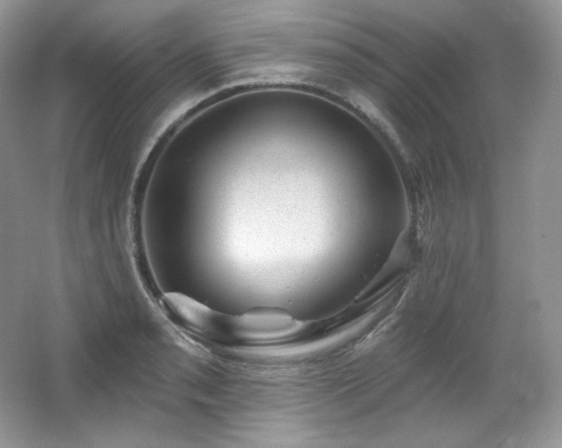 X0000065261085200602171448